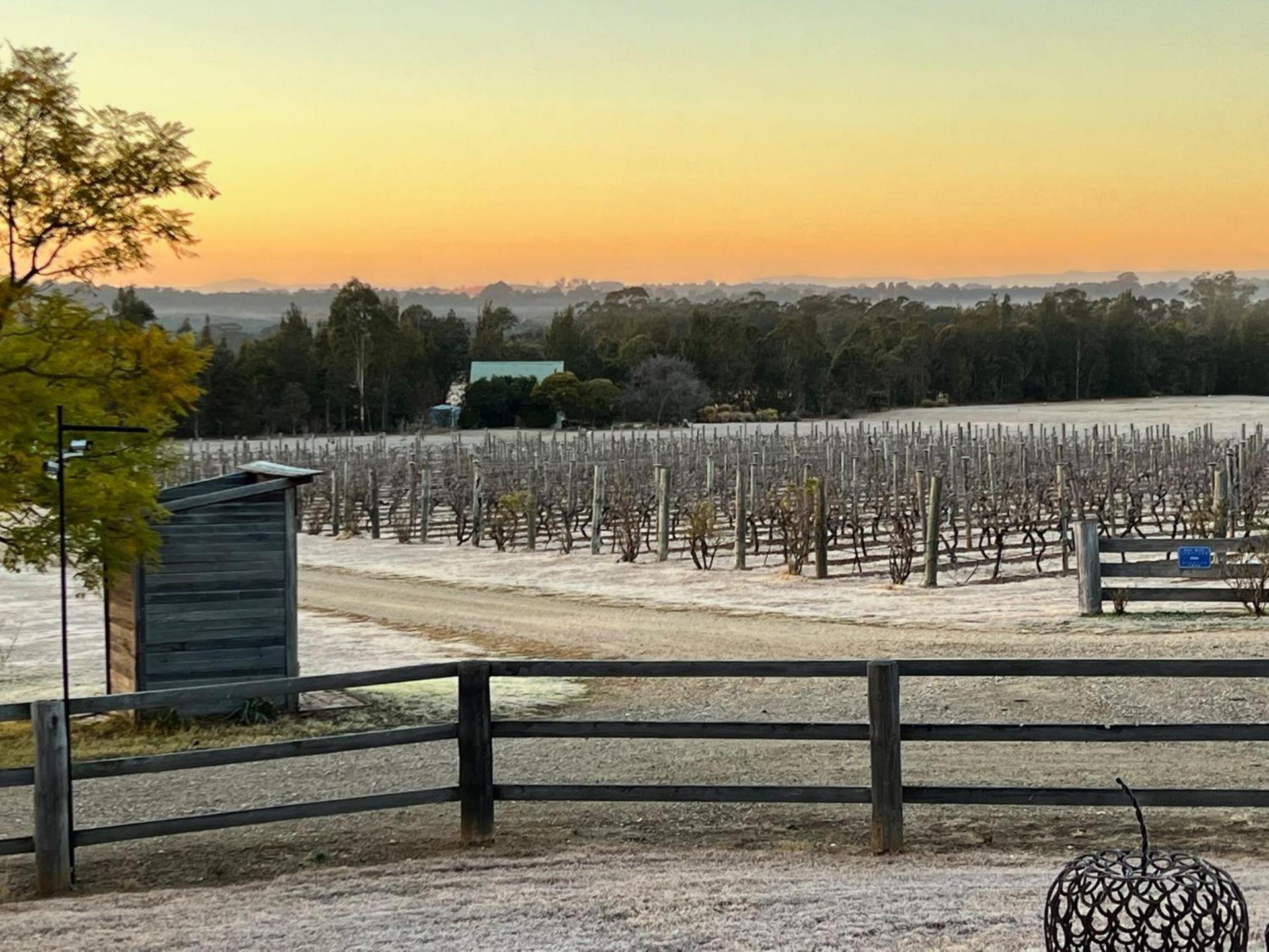 Bracken Ridge Vineyard The Entire Estate Rothbury Exterior photo