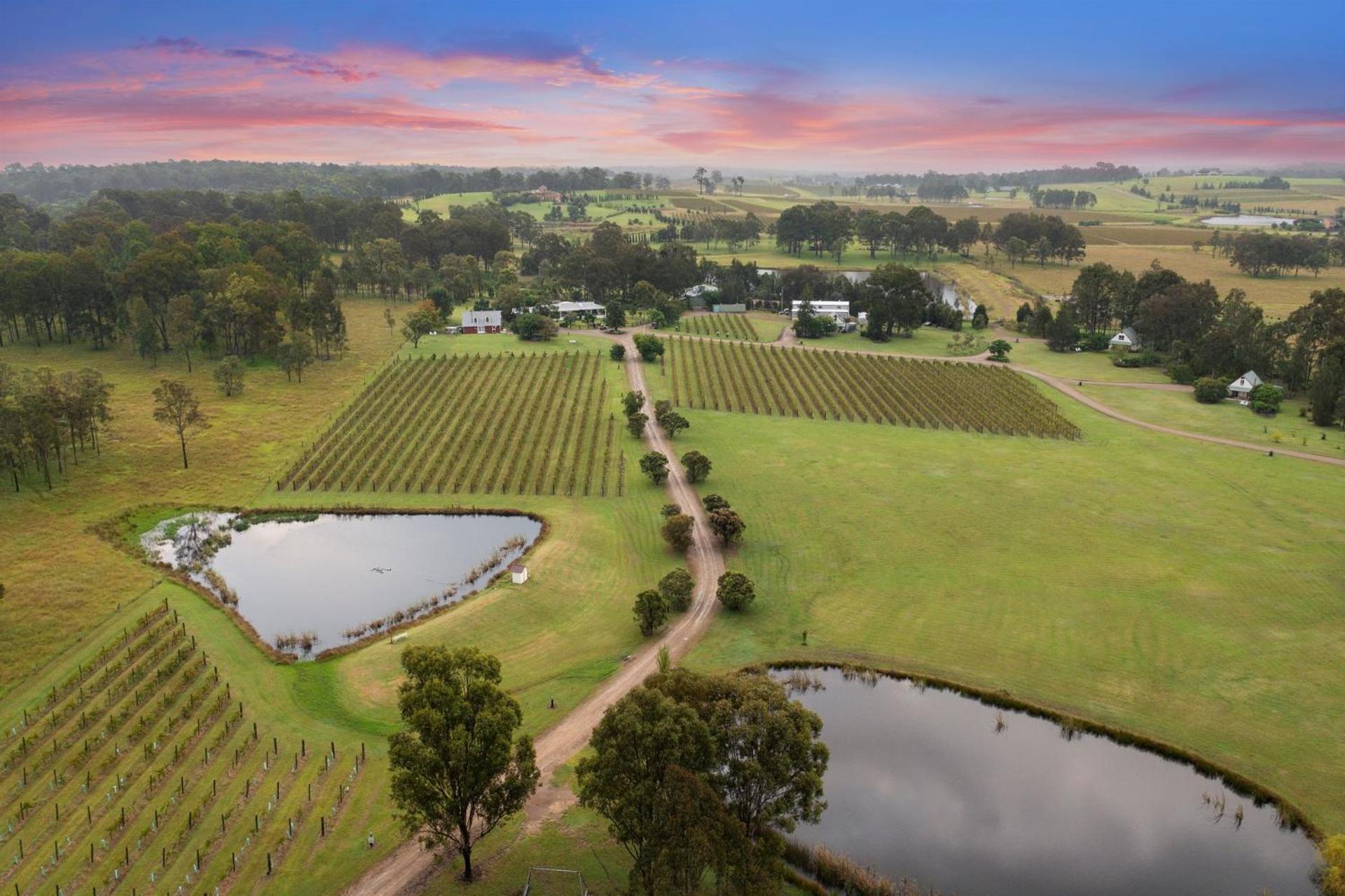 Bracken Ridge Vineyard The Entire Estate Rothbury Exterior photo